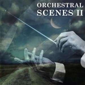 Orchestral Scenes, Vol. 2: Emotional - Moritz Bintig