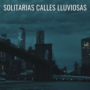 Solitarias Calles Lluviosas - Grabación de lluvia