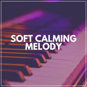 Soft Calming Melody - Chillout Lounge Piano
