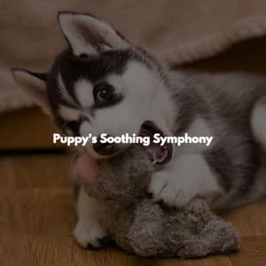 Puppy's Soothing Symphony - Cafe de Musica Instrumental