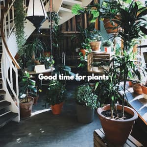 Good time for plants - Jazz Animada para Cafeterías