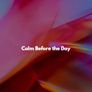 Calm Before the Day - Study Playlist