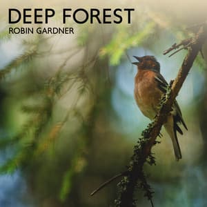 Deep Forest - Robin Gardner