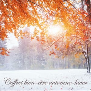 Coffret bien-être automne-hiver: Musique relaxante de détente, méditation, hamman, shiatsu, réflexologie plantaire et massage - Oasis de Détente et Relaxation