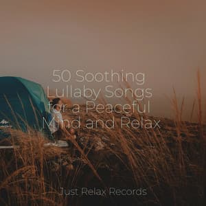 50 Soothing Lullaby Songs for a Peaceful Mind and Relax - Mantra para Meditar
