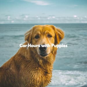 Car Hours with Puppies - Musica Relajante para Perros Momentos