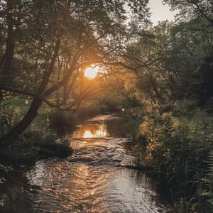El Eco De La Música: Cadencias Atemporales - Olas de migración