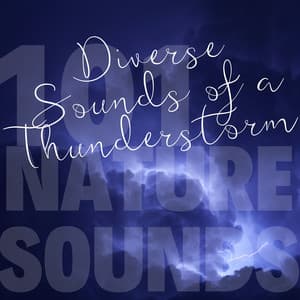 Diverse Sounds of a Thunderstorm - 101 Nature Sounds