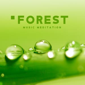 Forest Music Meditation: Calming and Healing New Age Sounds, Nature Ambience, Tranquil Forest for Deep Meditation and Stress Relief - Natural Zen Meditation White Noise
