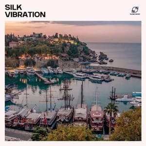Silk Vibration - Cafe Chillout de Ibiza