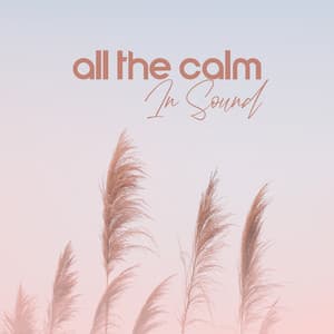 All The Calm In Sound - For The Eternal Rest