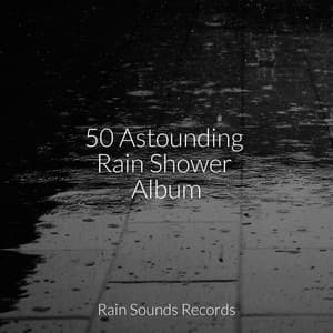 50 Astounding Rain Shower Album - Ambiente