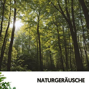Naturgeräusche: Symphonie der Gelassenheit - Relajacion