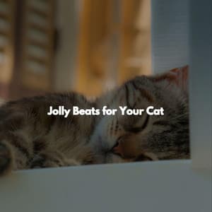 Jolly Beats for Your Cat - Easy Dinner Music