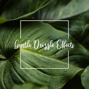 Gentle Drizzle Effects - Relaxing Forest Rain Therapy - Relaxing Music Pro Effects Unlimited