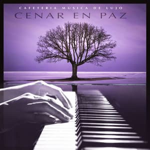 Cenar en paz - Cafeteria Musica de lujo
