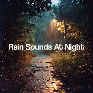 Rain Sounds At Night - Meditation Rain Sounds