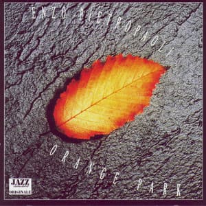 Orange Park - Enzo Pietropaoli