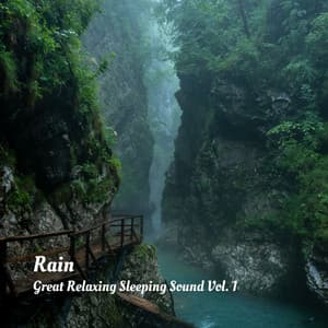 Rain: Great Relaxing Sleeping Sound Vol. 1 - Binaural Beats MT