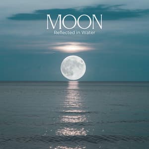Moon Reflected in Water - Moonlight Shadow Universe