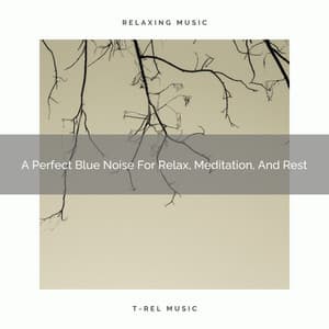 A Perfect Blue Noise For Relax, Meditation, And Rest - White Noise Healing Center