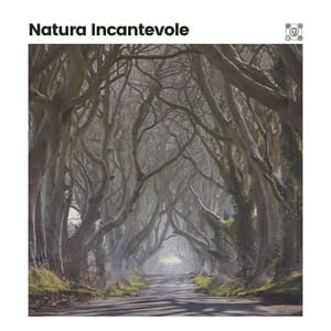 Natura Incantevole - Suoni Naturali