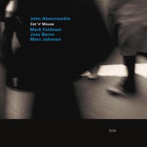 Cat 'N' Mouse - John Abercrombie