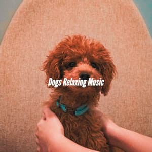 Dogs Relaxing Music - Soft Dinner Music