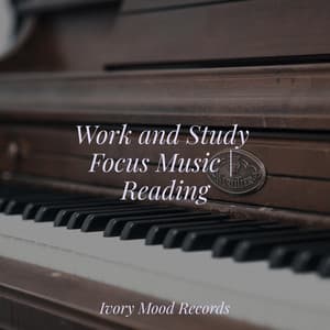 Work and Study Focus Music | Reading - Ivory Mood