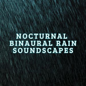 Nocturnal Binaural Rain Soundscapes - Dreamsound
