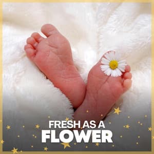 Fresh as a Flower - Baby Nap Time