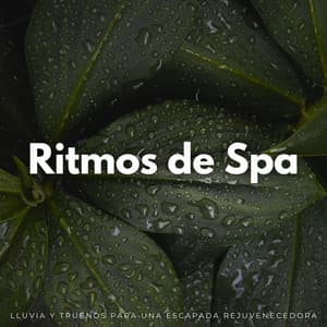 Ritmos De Spa: Lluvia Y Truenos Para Una Escapada Rejuvenecedora - El sonido del trueno