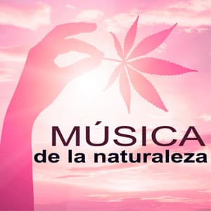 Música de la Naturaleza - Bosque y Rio, Sonidos Naturales para Perfecto - Naturaleza Ensemble