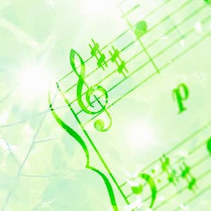 Ambient Music for Cognitive Precision: Concentration Zen - Brain Timbre