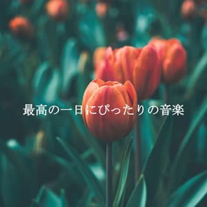 最高の一日にぴったりの音楽 - Piano Jazz Luxury