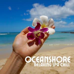 Oceanshore Relaxing Spa Chill - Chill Lounge Music System