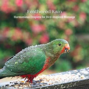 Feathered Rain: Harmonious Droplets for Bird-Inspired Massage - Relax Rain