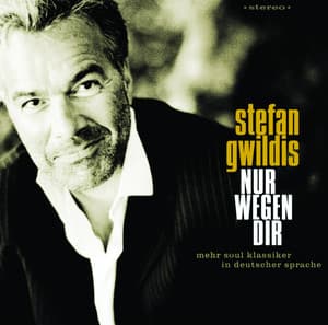 Nur wegen Dir - Stefan Gwildis