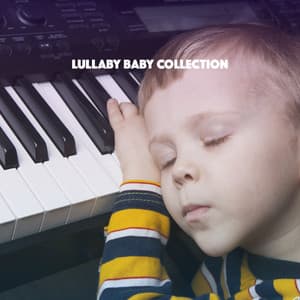 Lullaby Baby Collection - Baby Lullaby