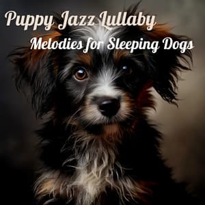 Puppy Jazz Lullaby: Melodies for Sleeping Dogs - Dogs Jazz