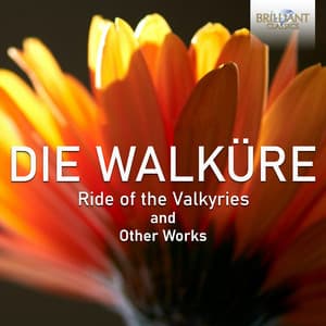 Ride of the Valkyries and Other Works - Royal Philharmonic Orchestra