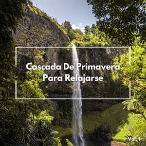 Cascada De Primavera Para Relajarse Vol. 1 - Estados de ánimo y sonidos de agua