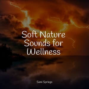 Soft Nature Sounds for Wellness - Deep Sleep