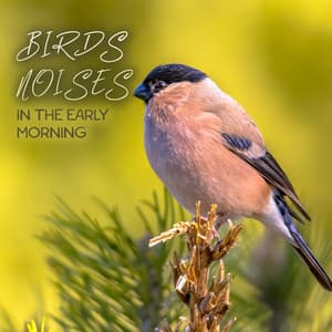 Birds Noises in the Early Morning - Serenity Music Zone