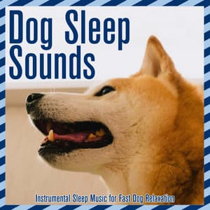 Dog Sleep Sounds: Instrumental Sleep Music for Fast Dog Relaxation - Relaxmydog