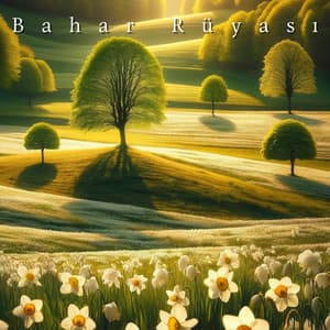 Bahar Rüyası: Anadolu’nun Mistik Nefesi - Gevşeme Meditasyon Akademisi