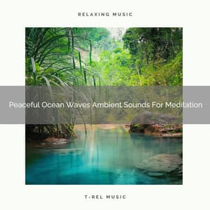 Peaceful Ocean Waves Ambient Sounds For Meditation - Perfect Meditation