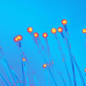 Sophisticated Music for Focusing Tales - Bossa Guitar Trio - Hotel Lounge Music