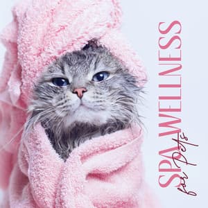 Spa Wellness for Pets: Grooming Salon Music, Dogs Spa Relaxation, Music for Pet Massage - Calm Pets Music Academy