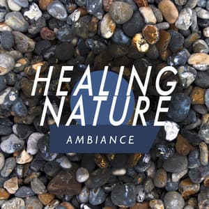 Healing Nature Ambiance - Ambiance nature